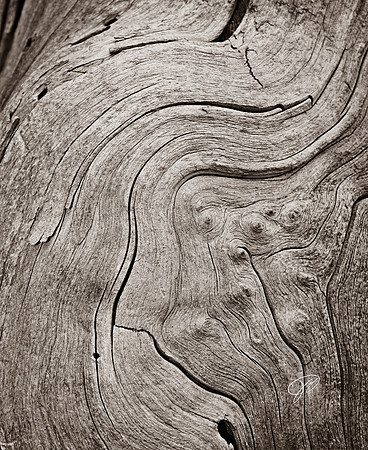 Old Wood