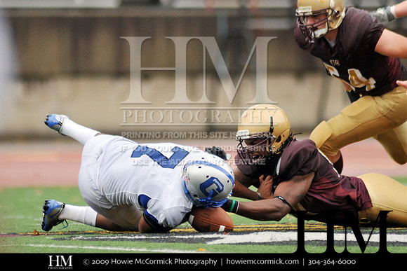 HMC_0099_v2