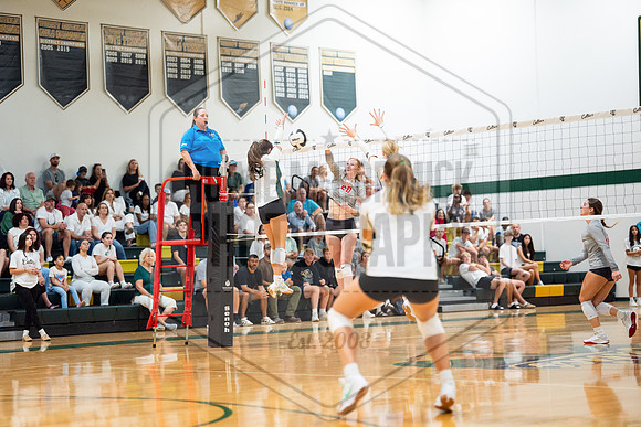 HMC_3121