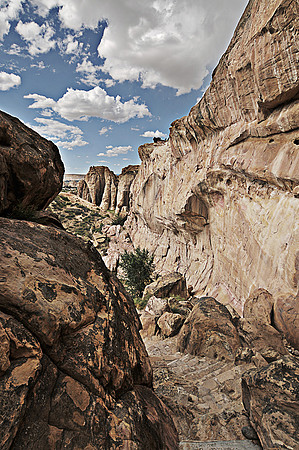 New Mexico