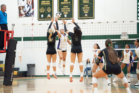 HMC_8423